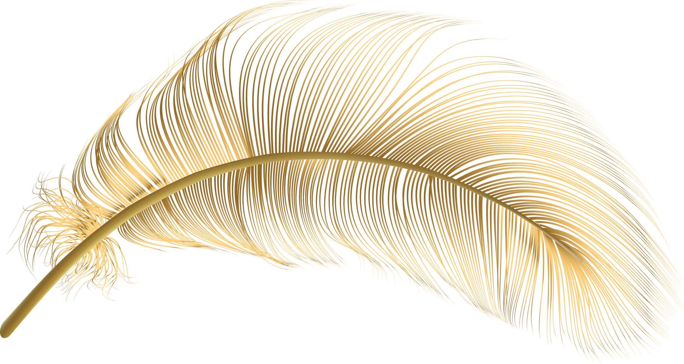 Gold feather